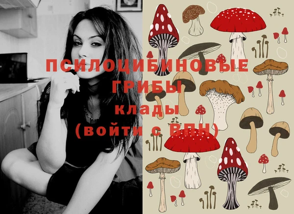 сатива Остров