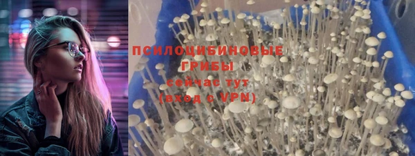 спайс Осташков