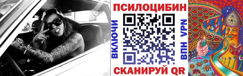 Псилоцибиновые грибы мухоморы  KRAKEN ТОР  Пошехонье 